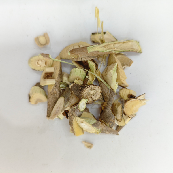 Vielstachel (Acanthopanax senticosus)