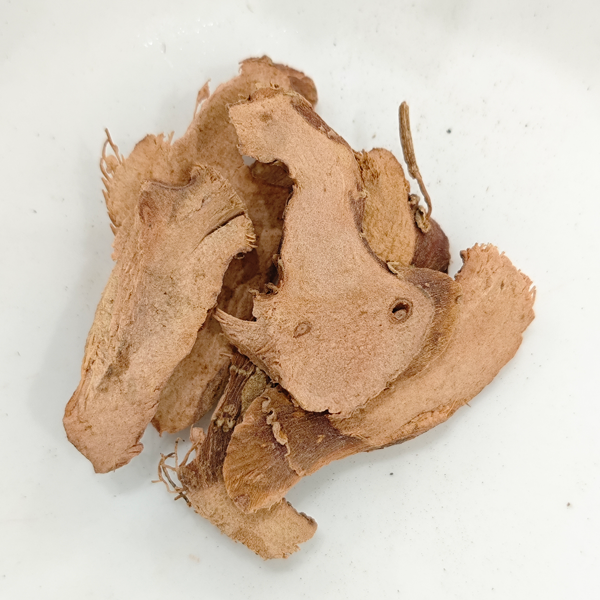 Kleiner Galgant (Kaempferia galanga)