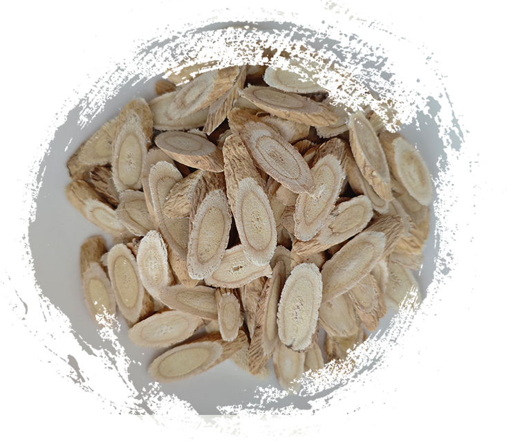 Die 10 wichtigsten Heilpflanzen der Traditionellen Chinesischen Medizin (TCM)