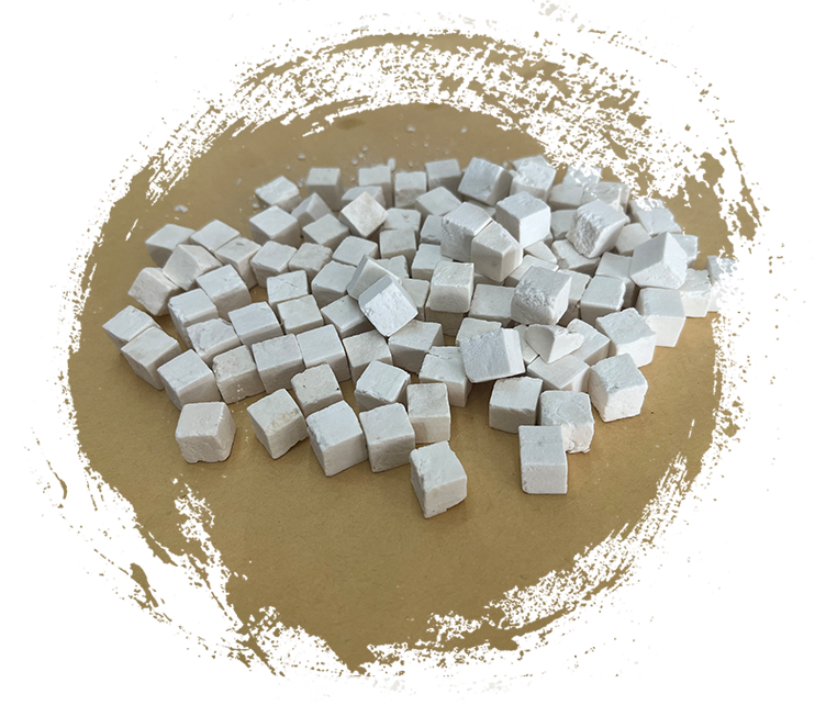 Wolfiporia extensa (ein holzzerstörender Pilz)