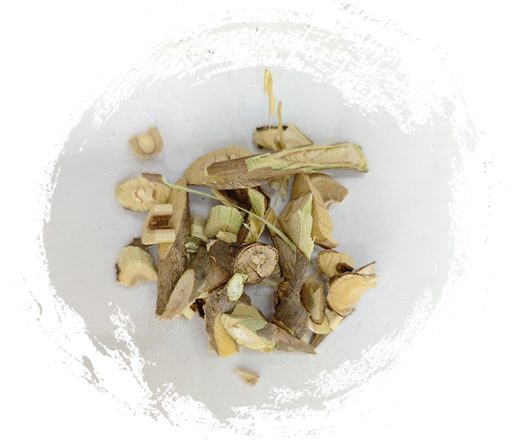 Vielstachel (Acanthopanax senticosus)