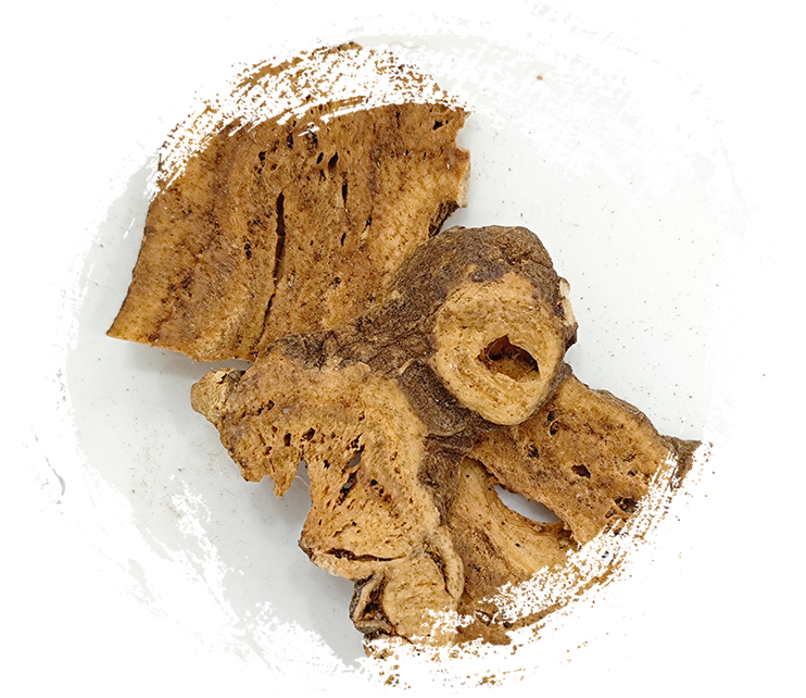 Geröstete Atractylodes macrocephala