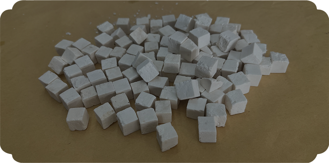 Wolfiporia extensa (ein holzzerstörender Pilz)