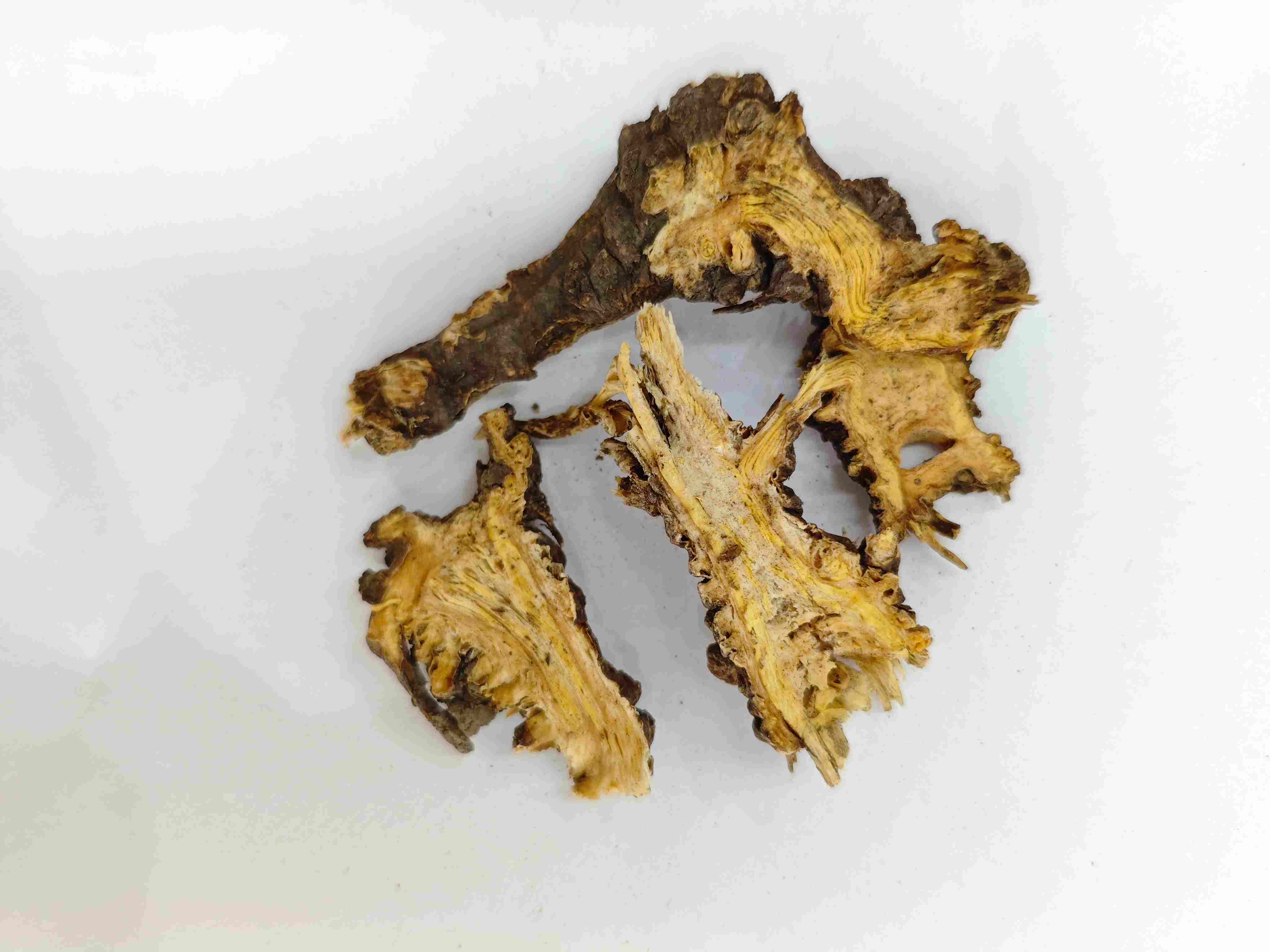 Chinesischer Werwood