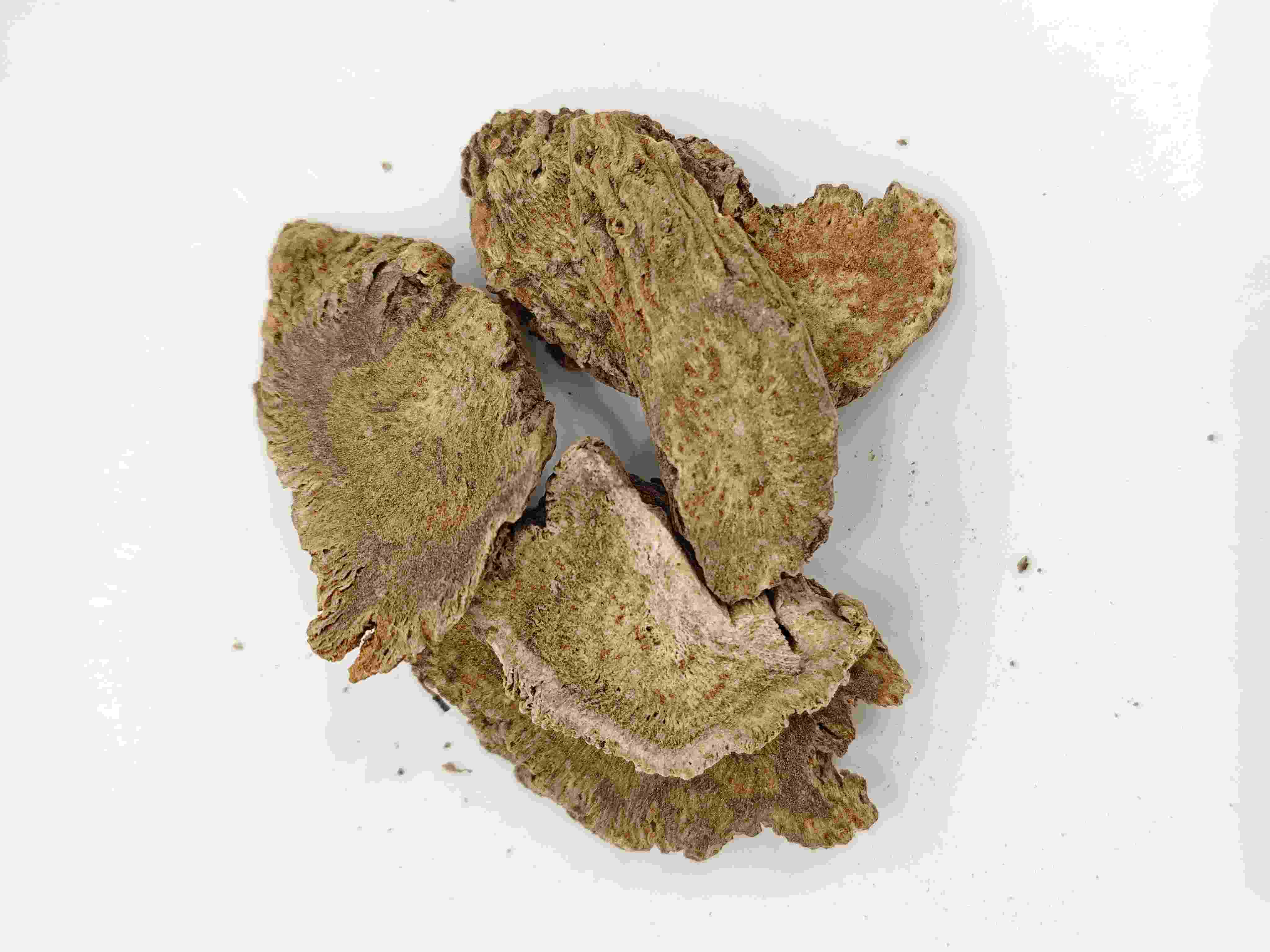 Costus Root, Muxiang