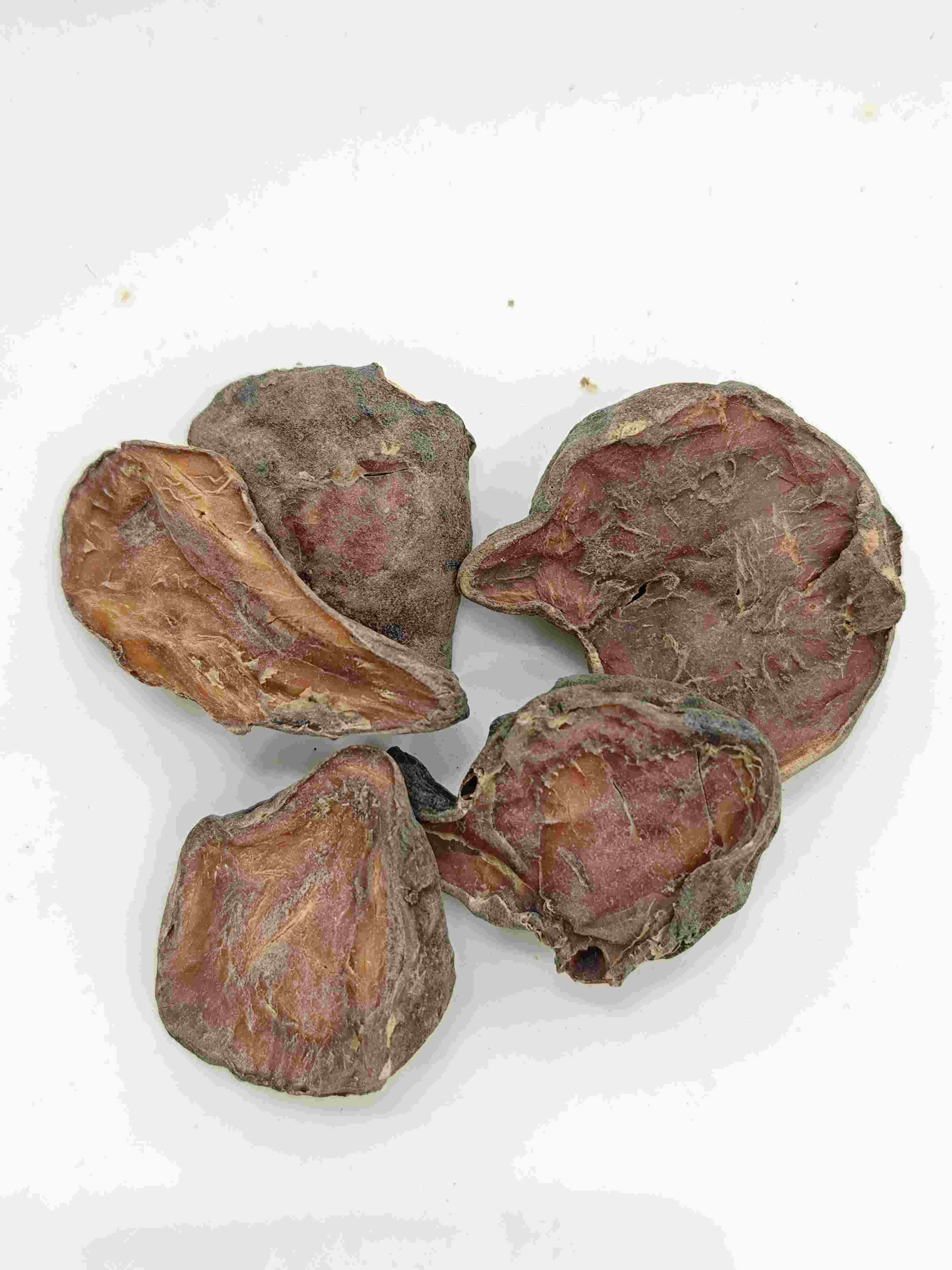 Vorbereitete Aconitscheibe, Paofupianer