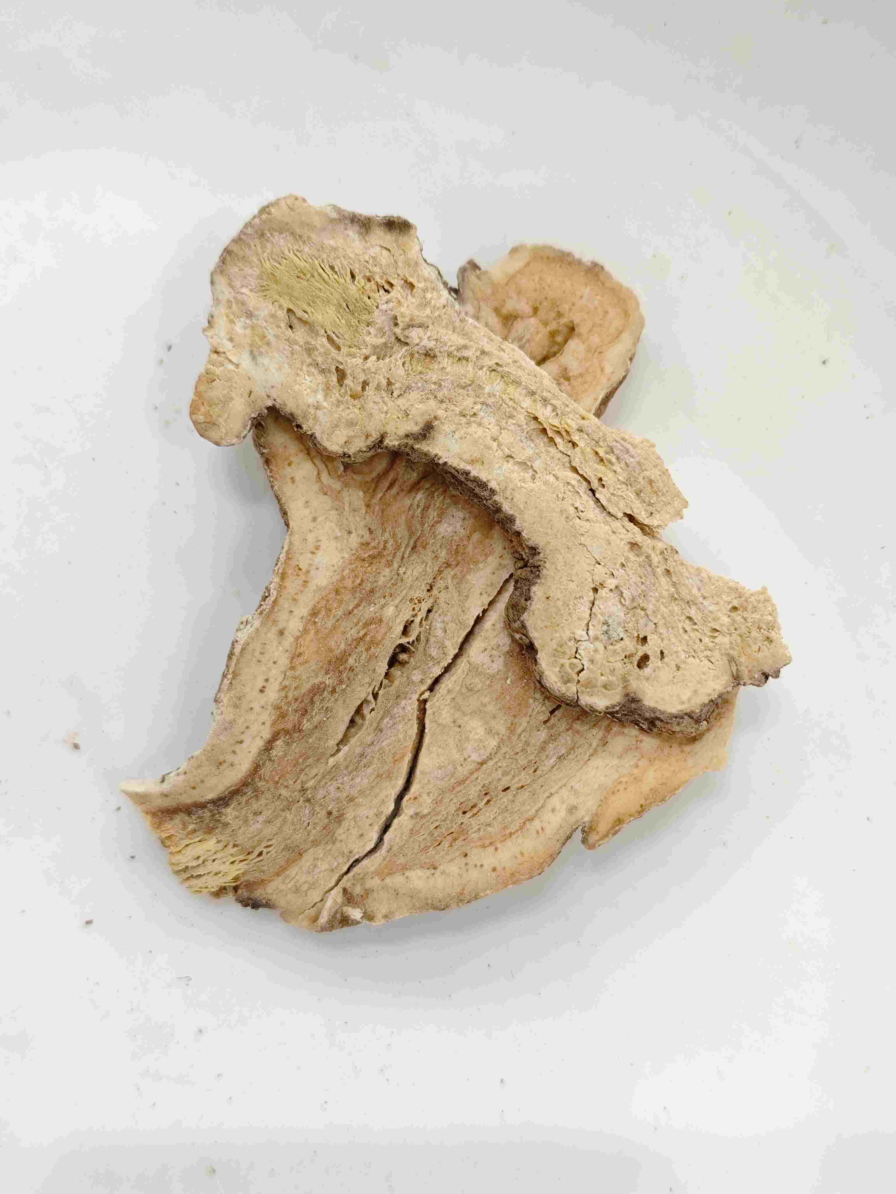 Atractylodes Rhizom (Sheng Baizhu)