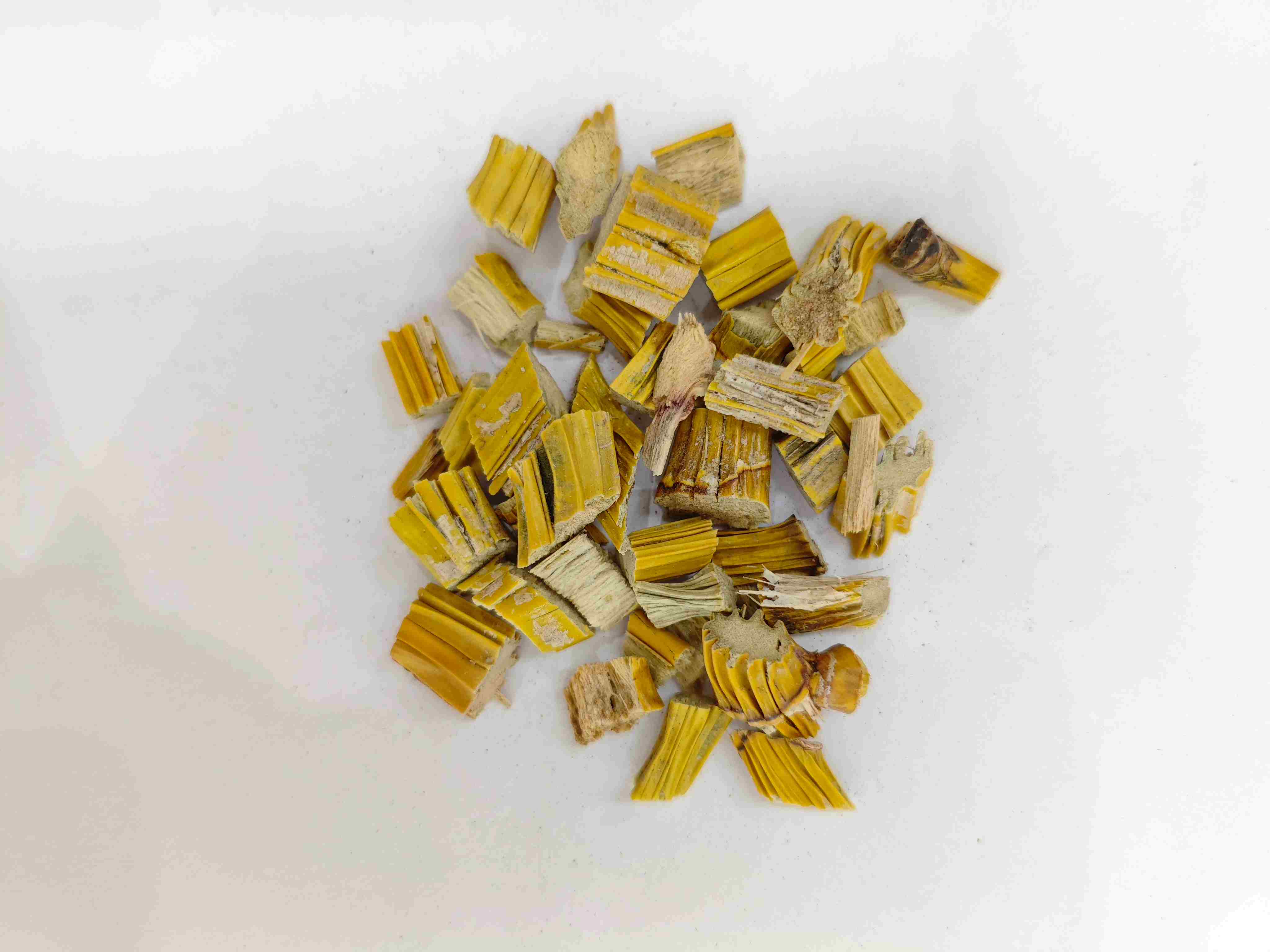 Dendrobiumstamm (Shihu)