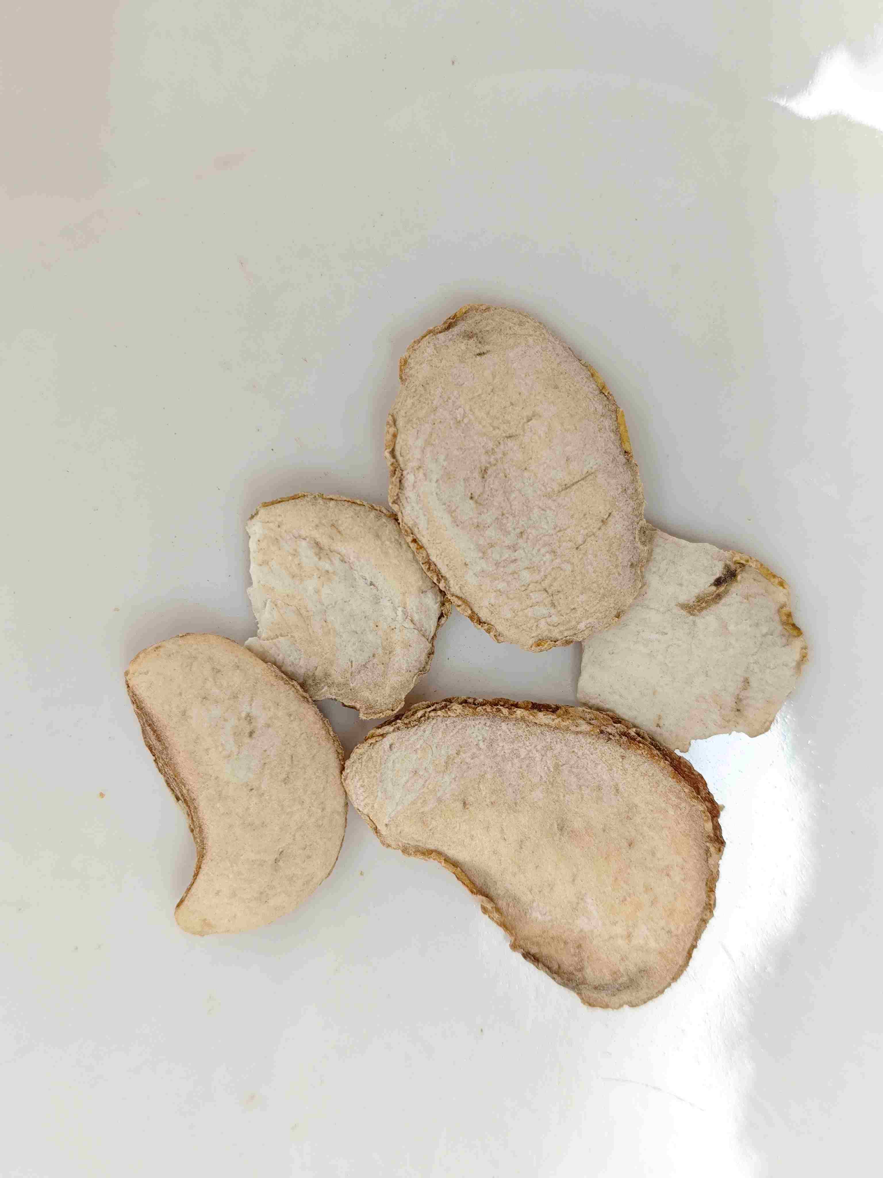 Zhejiang Fritillary Lampe (Zhebeimu)