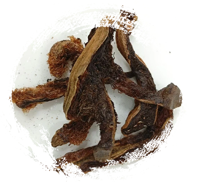 Reparatur von Knochenfragment