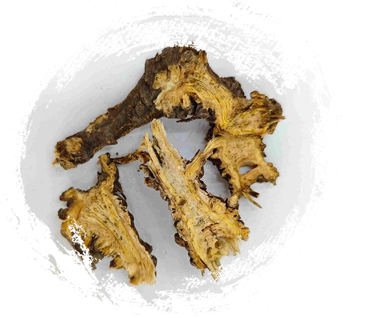 Chinesischer Werwood