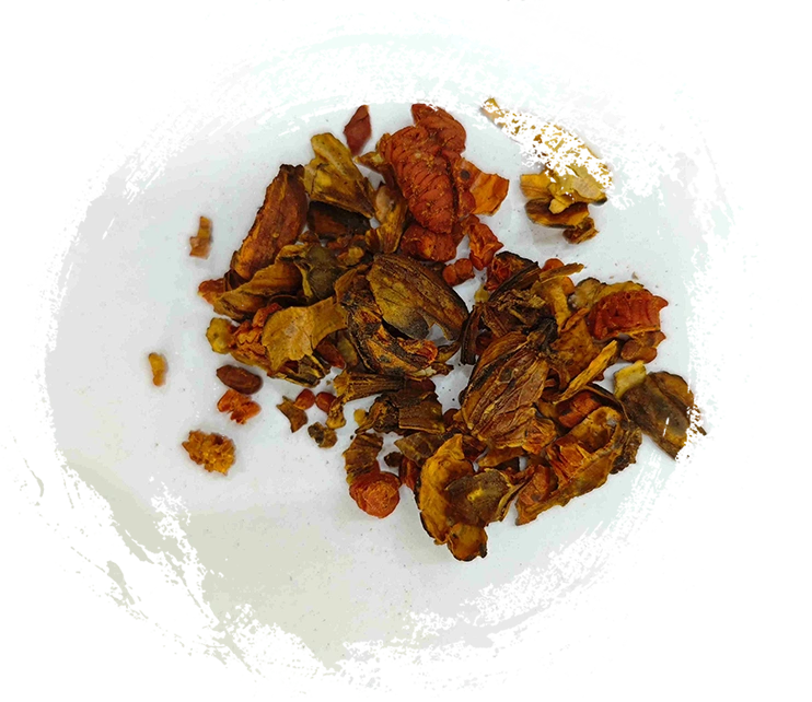 Gekleidete Gardenia, Jiaozhizi