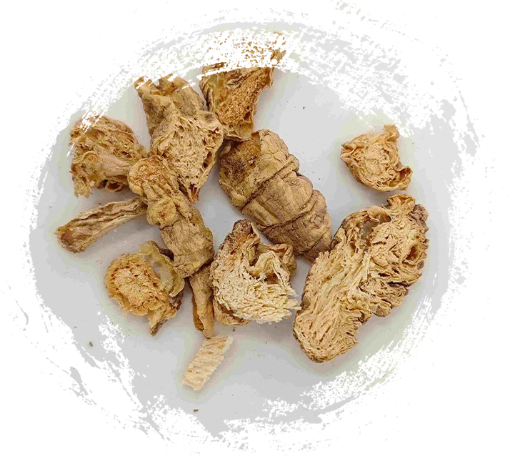 Südliche Codonopsis, Nan Sha Shen