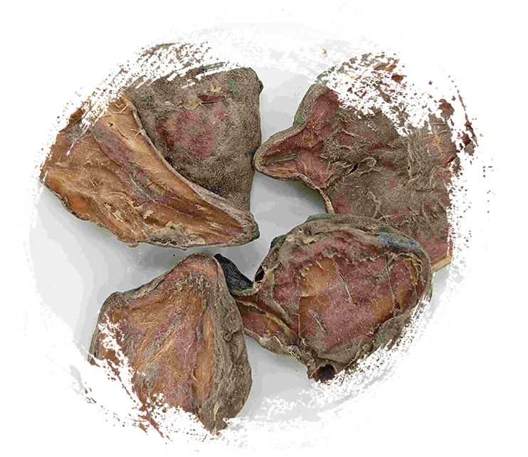 Vorbereitete Aconitscheibe, Paofupianer