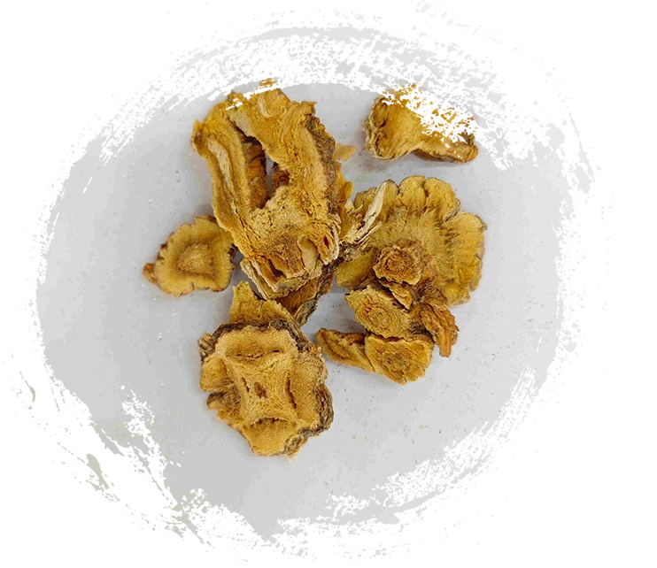 Gentiana macrophylla, Qinjiao