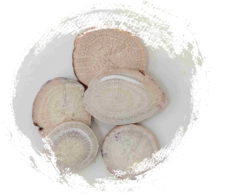 Weiße Pfingstrosenwurzel (Sheng Baishao)