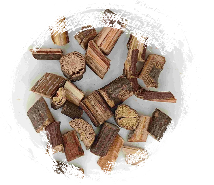 Polygonum Multiflorum Stamm (Shouwuteng)