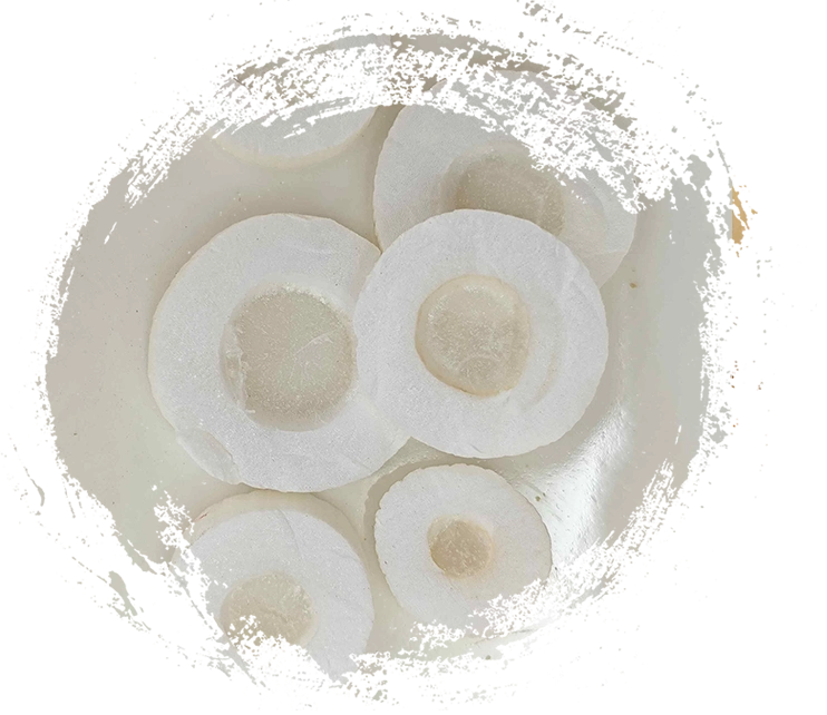 Tungcao Kraut (Tongcao)