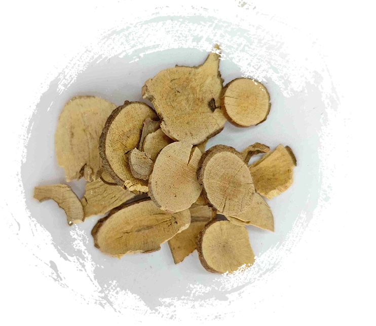 Lindera Wurzel (Wuyao)