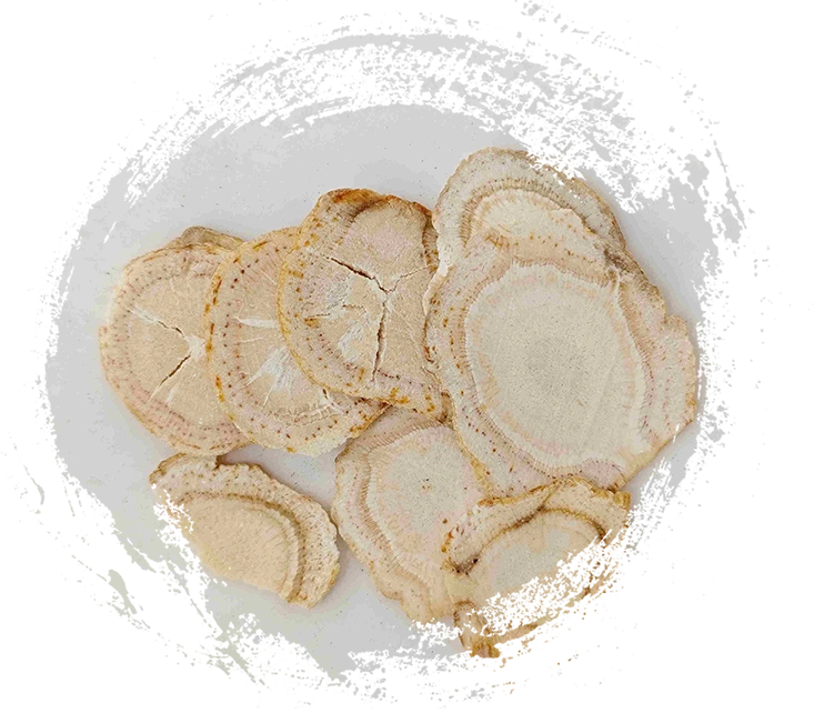 Die Kraft der Traditionellen Chinesischen Medizin mit Pflanzen TCM entdecken