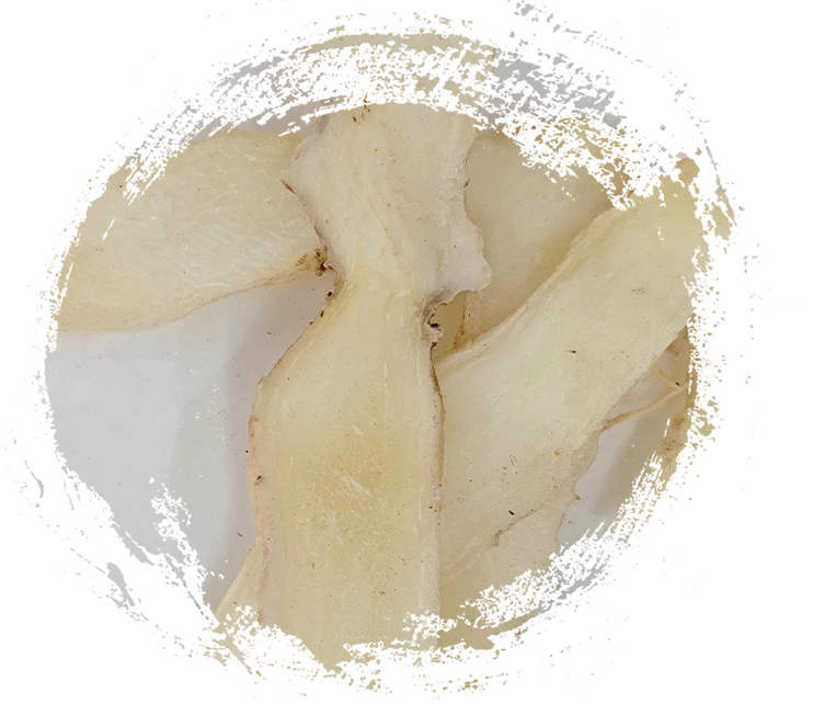 Solomons Siegel (Yuzhu)