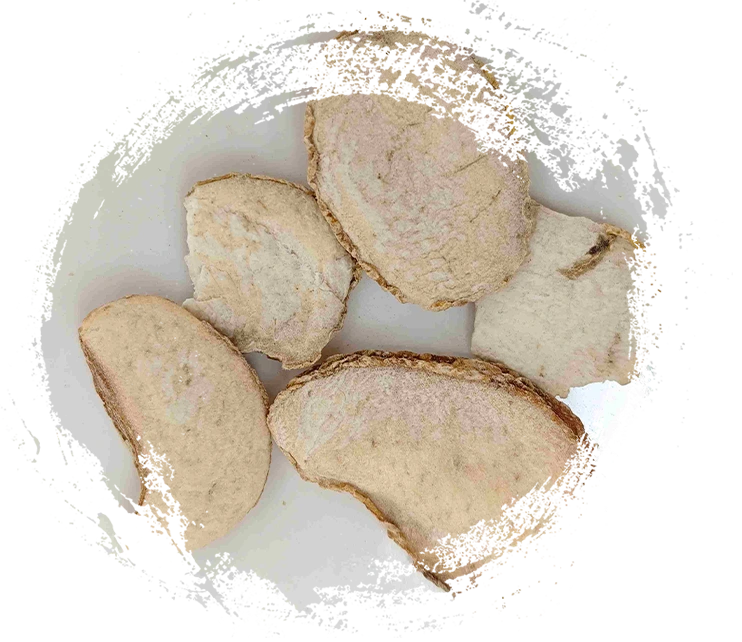 Zhejiang Fritillary Lampe (Zhebeimu)