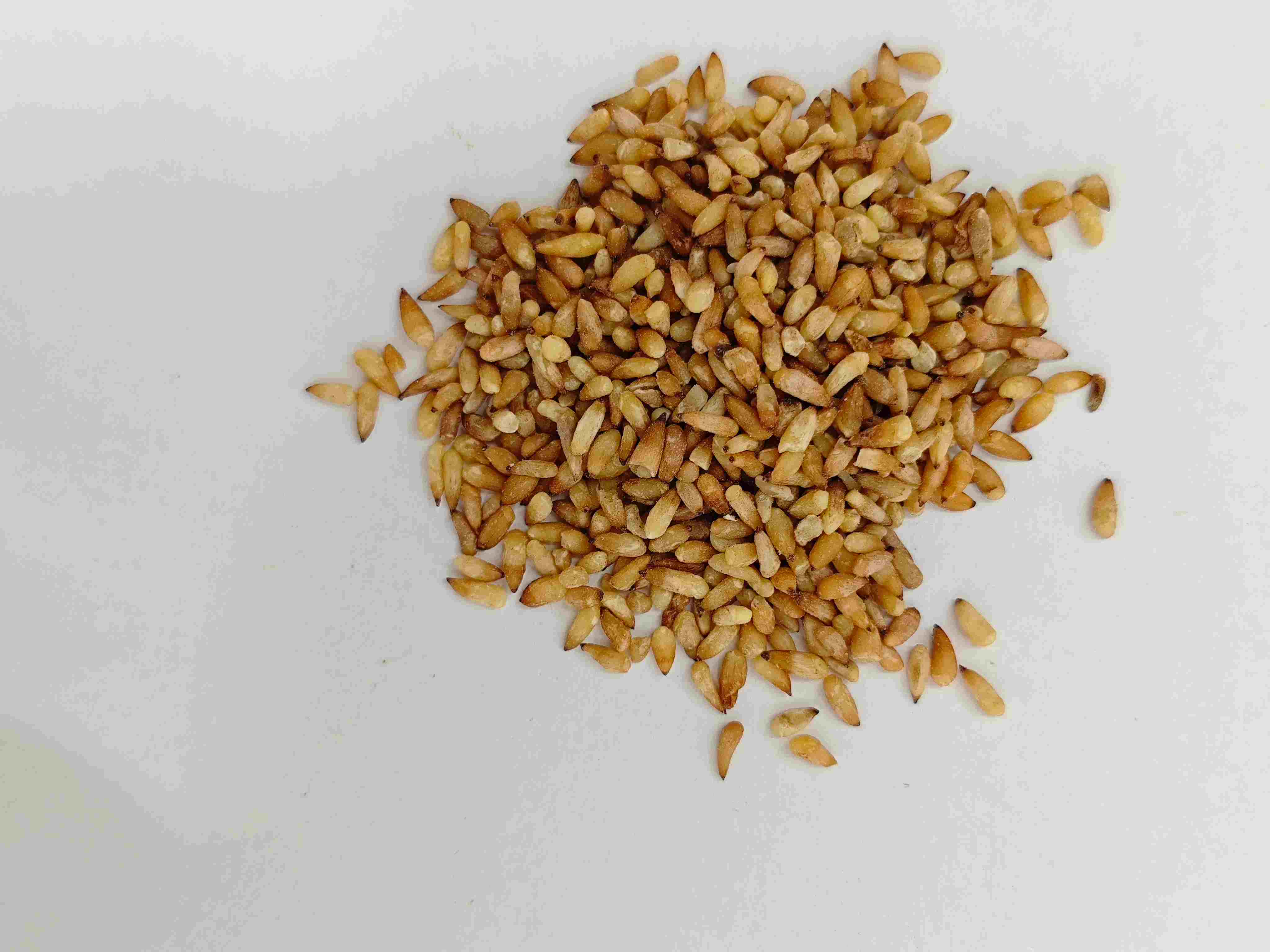 Chinesischer Arborvitae -Samen (bǎi zǐ r&eacute;n)