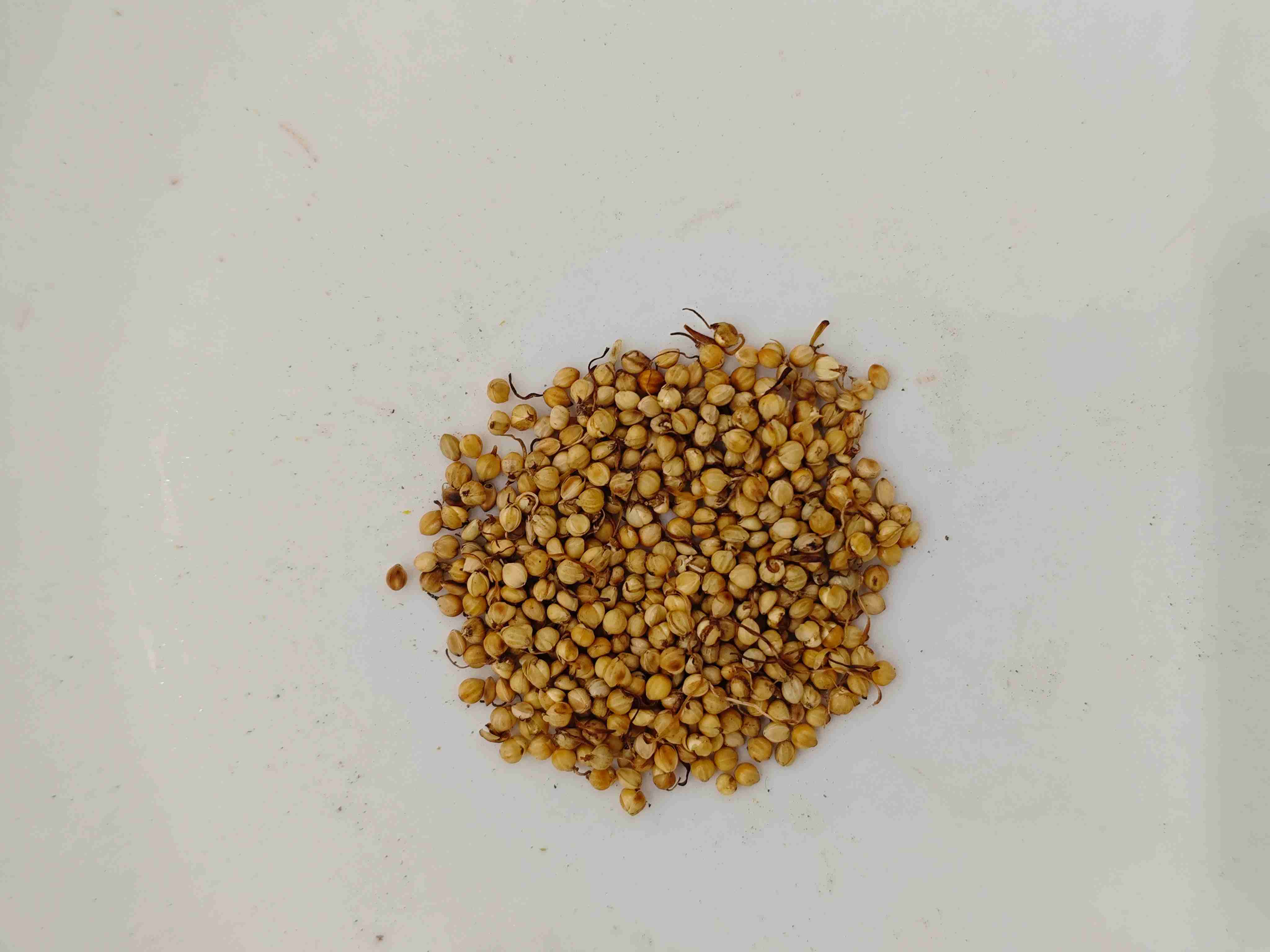 Gerösteter Reisspot (Chǎo Gǔ Yá)