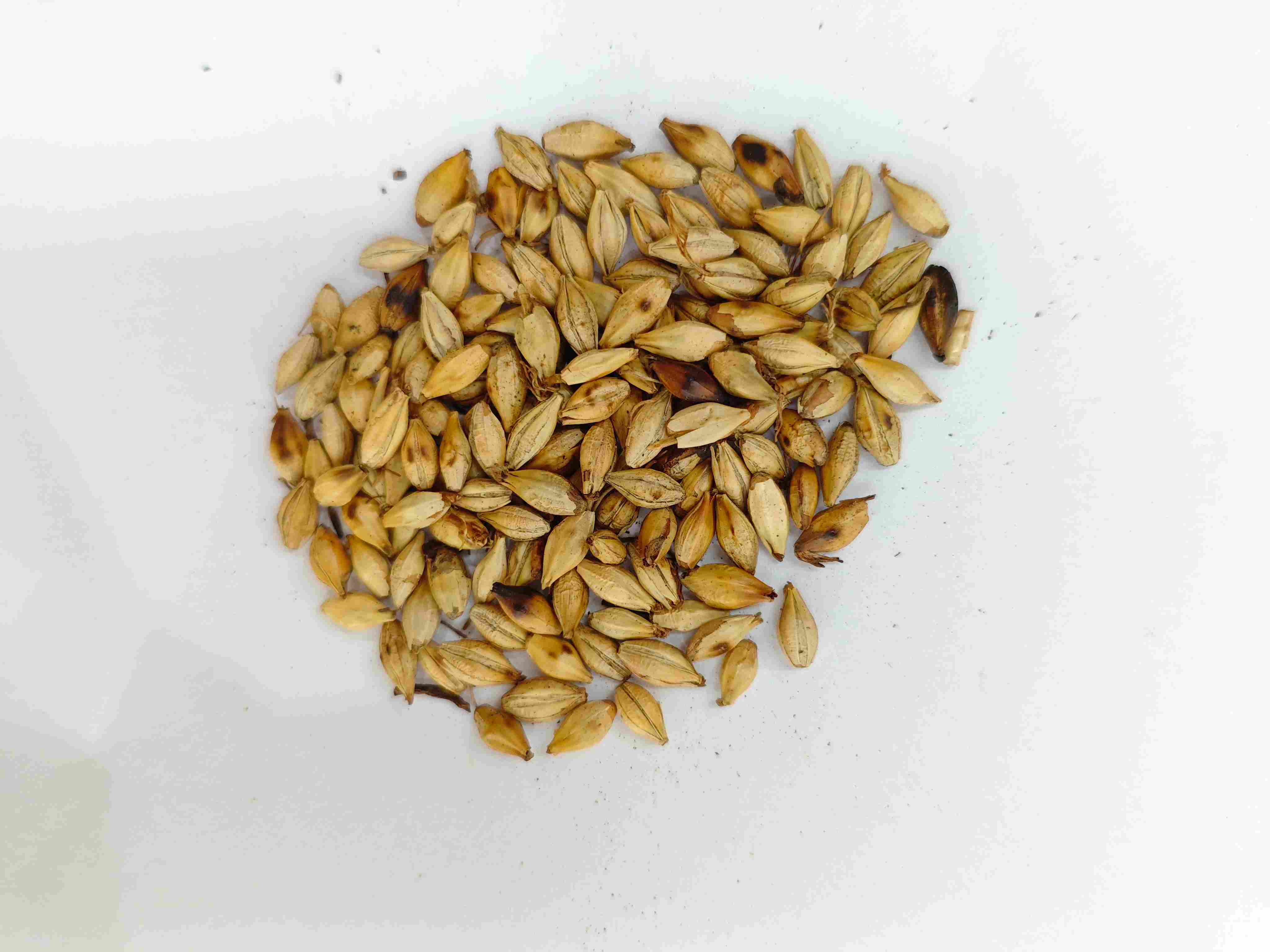 Geröstete Gerstenmalz (Chǎo mài yá)