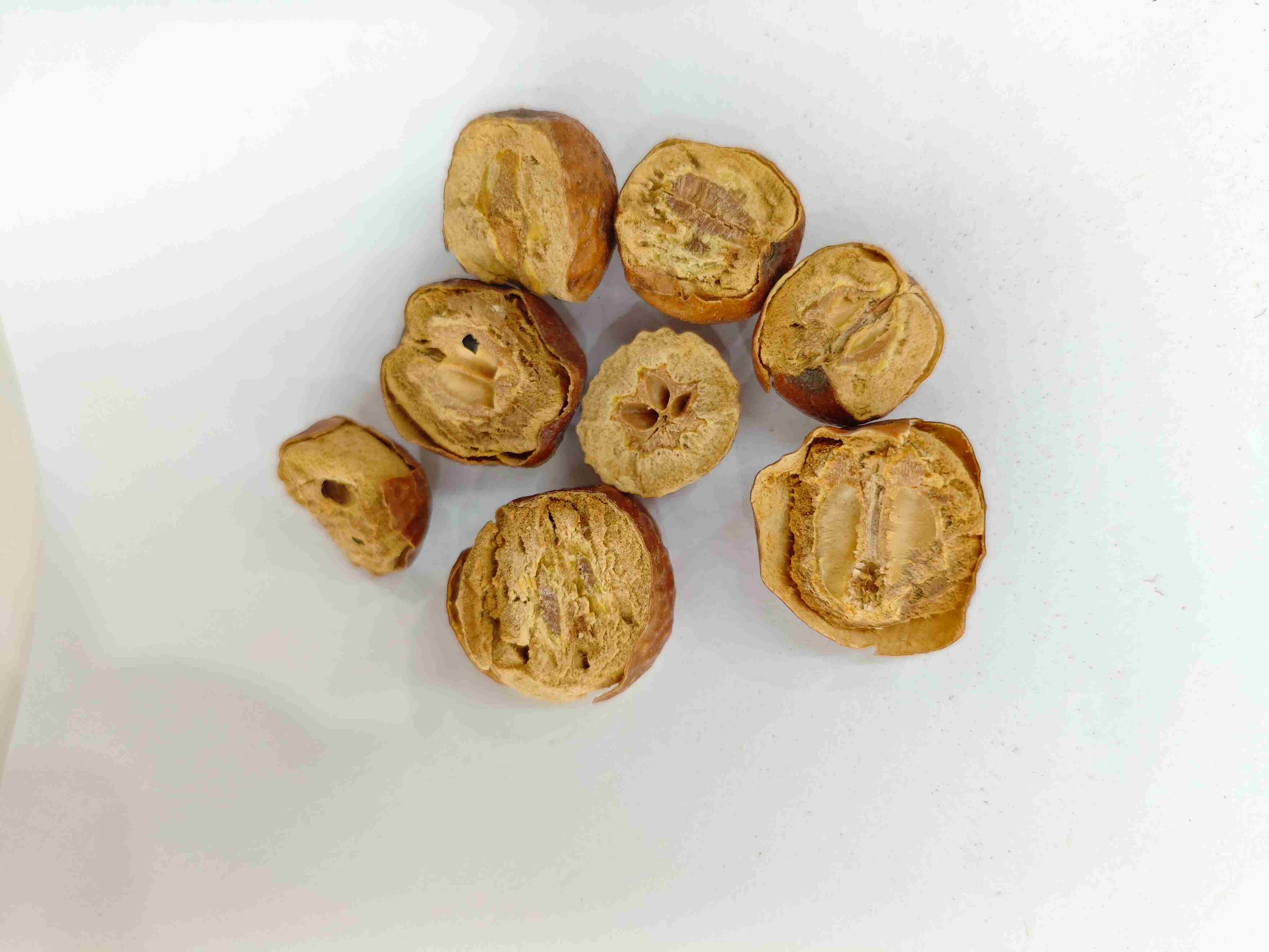 Toosendan Frucht (Chuān Lián Zǐ)