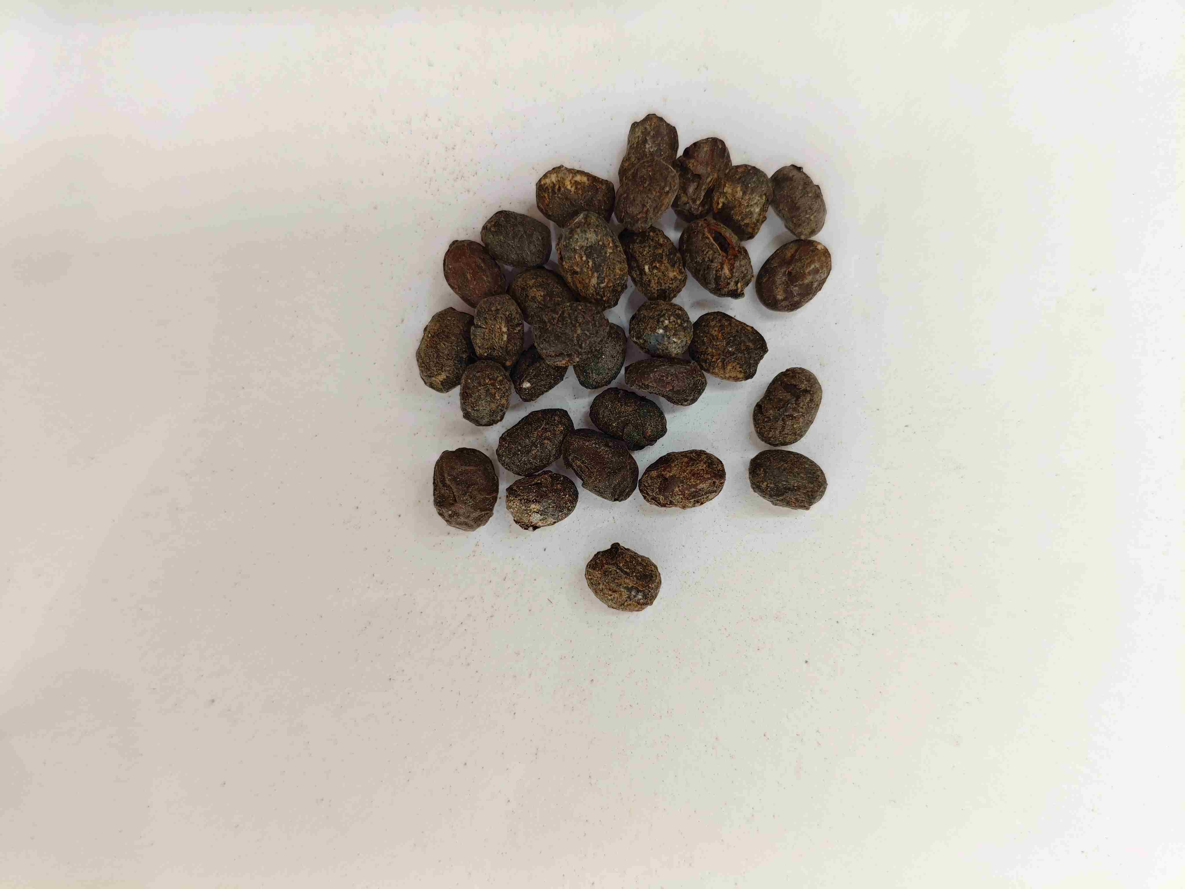 Fermentierte Sojabohnen (dàu chǐ)