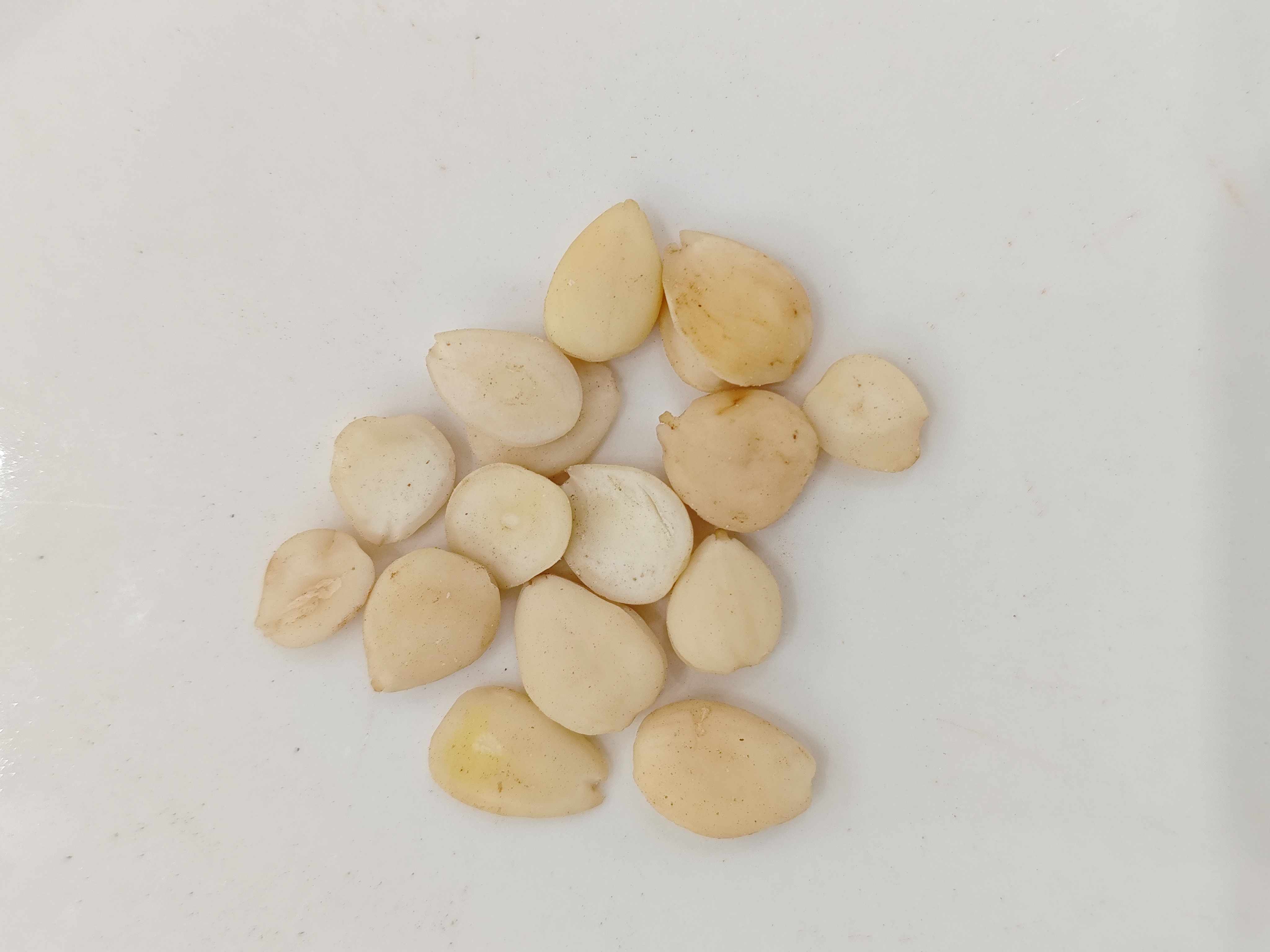 Bitterer Aprikosensamen (kǔ xìngrén)