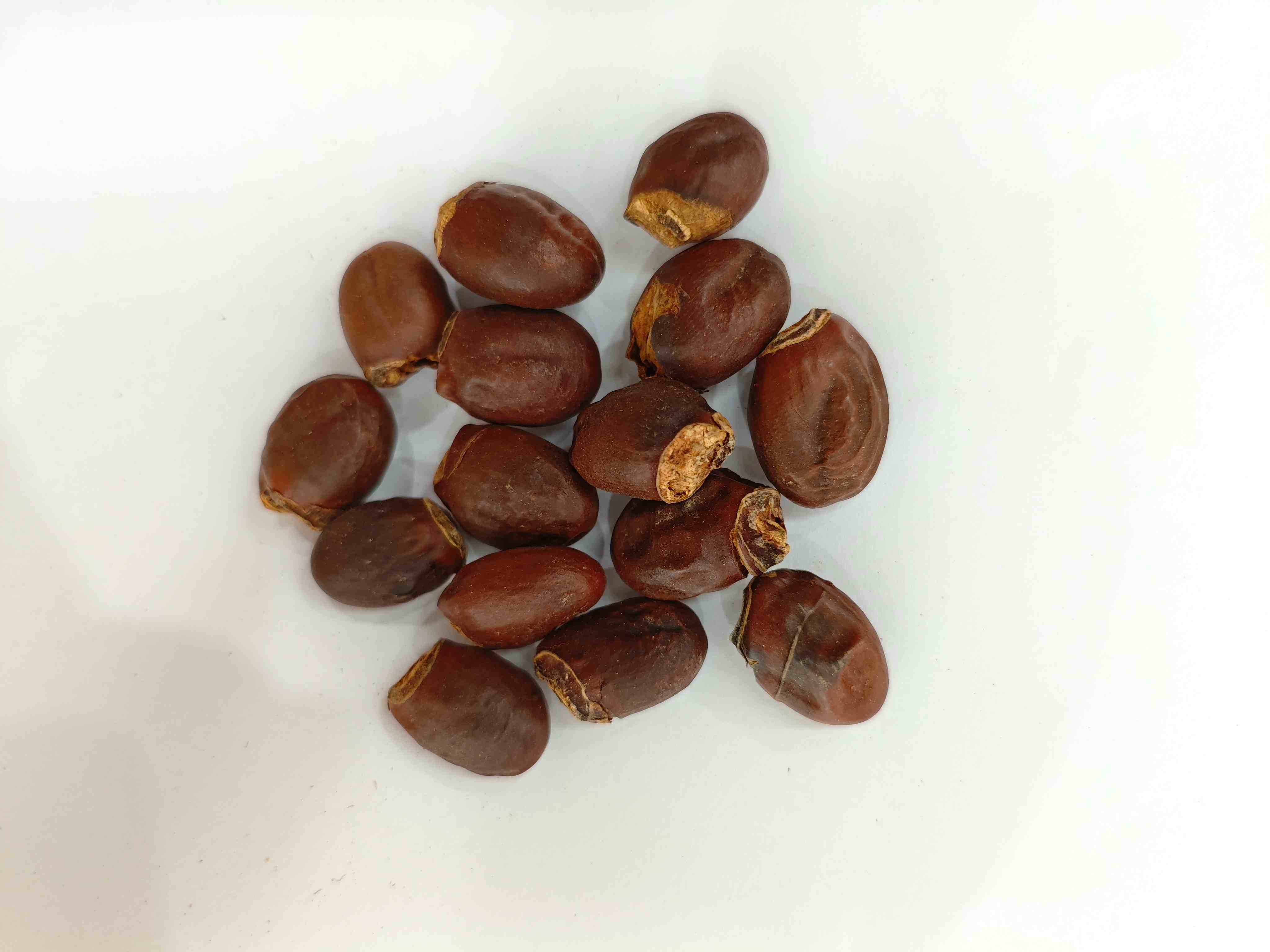 Litschisamen (Lìzhī Hé)