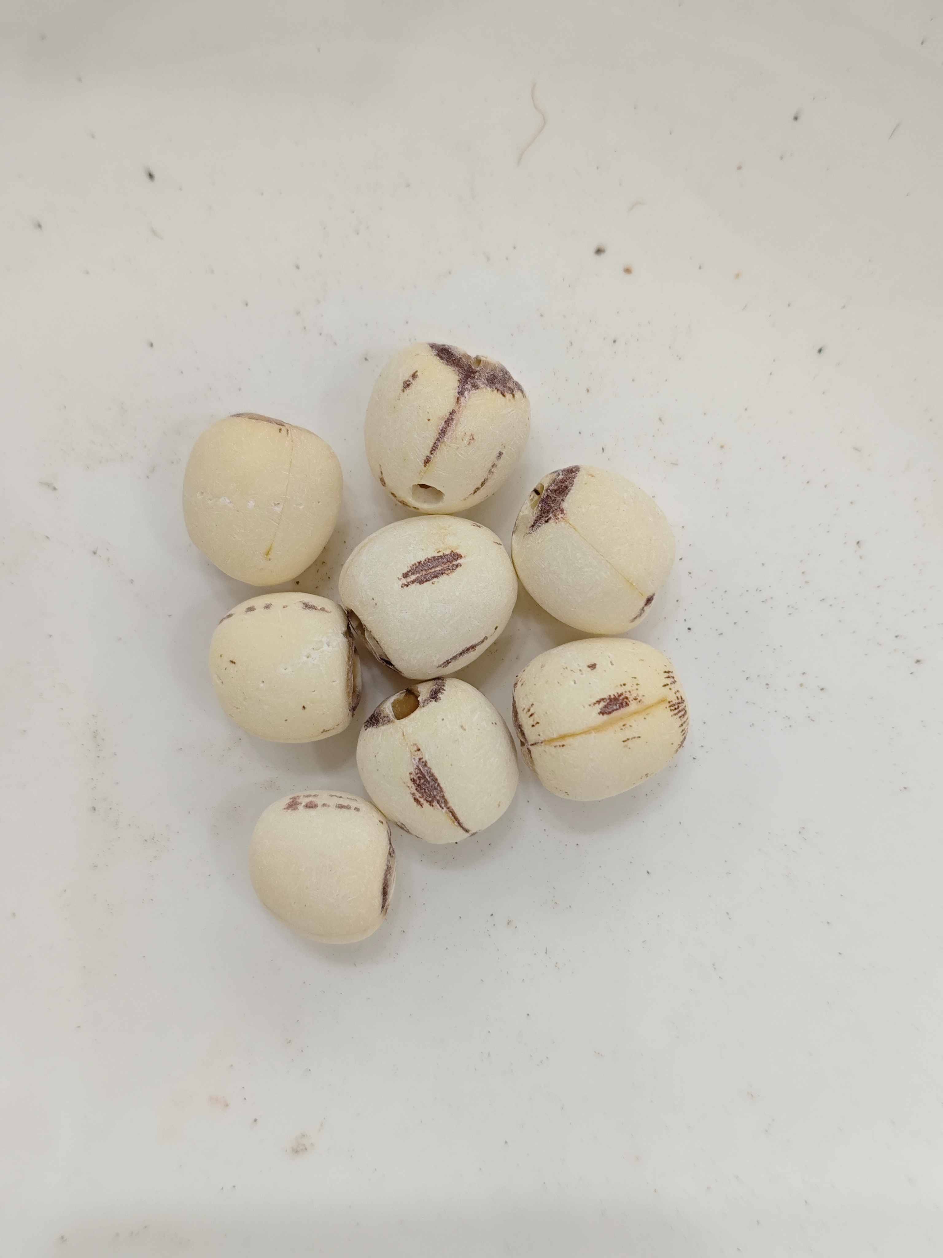 Lotussamen (Liánzǐ)