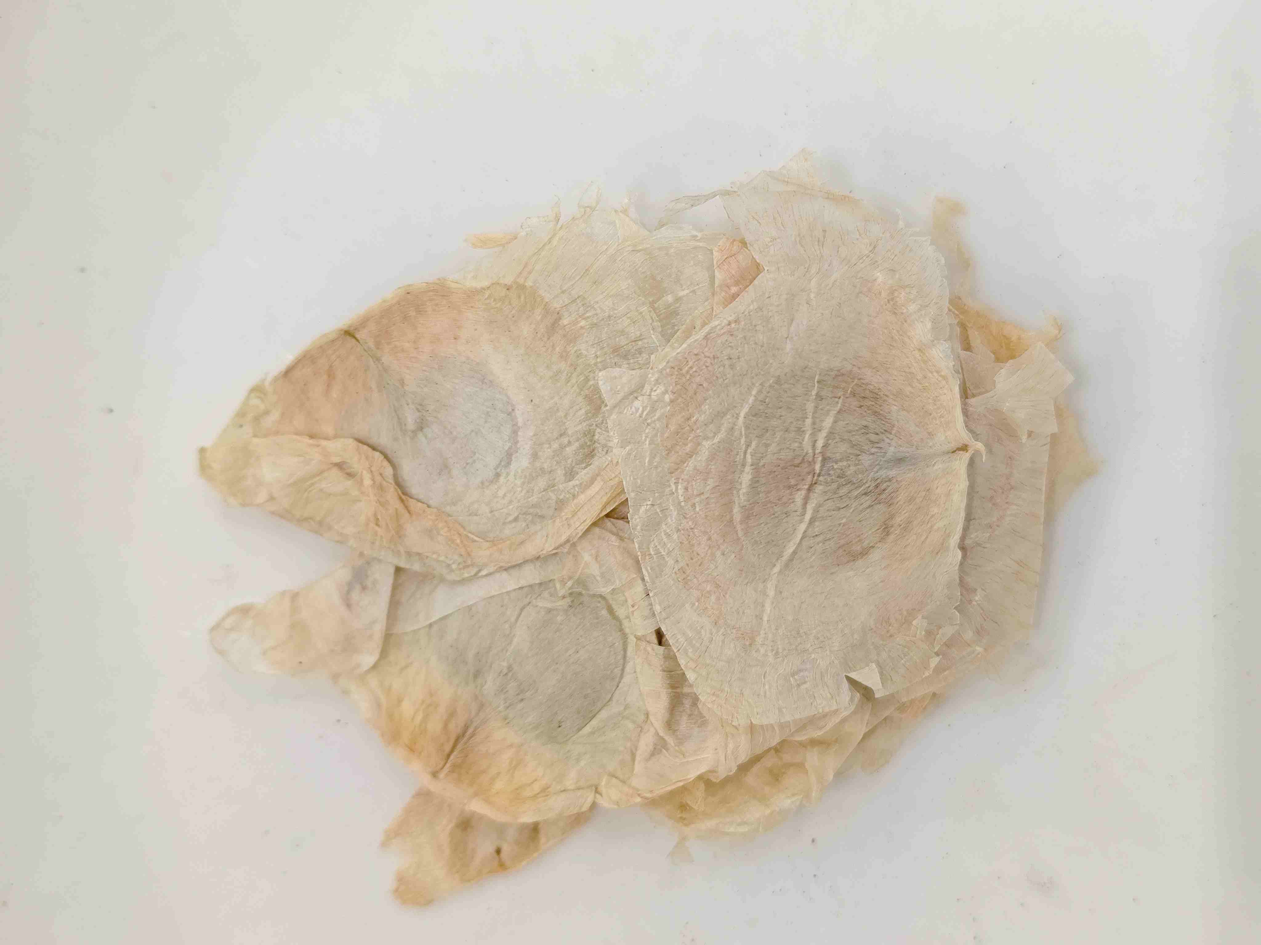 Schmetterlingsbaumrinde (Mù Húdié)