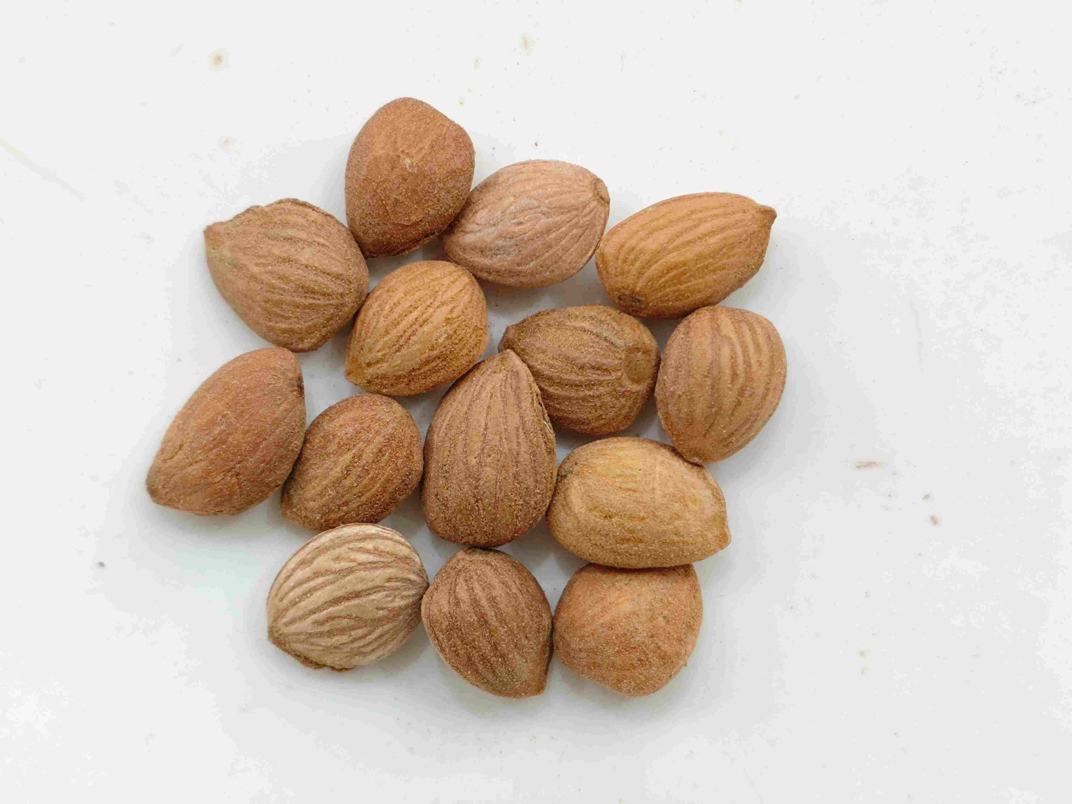 Pfirsichkern (Táorén)