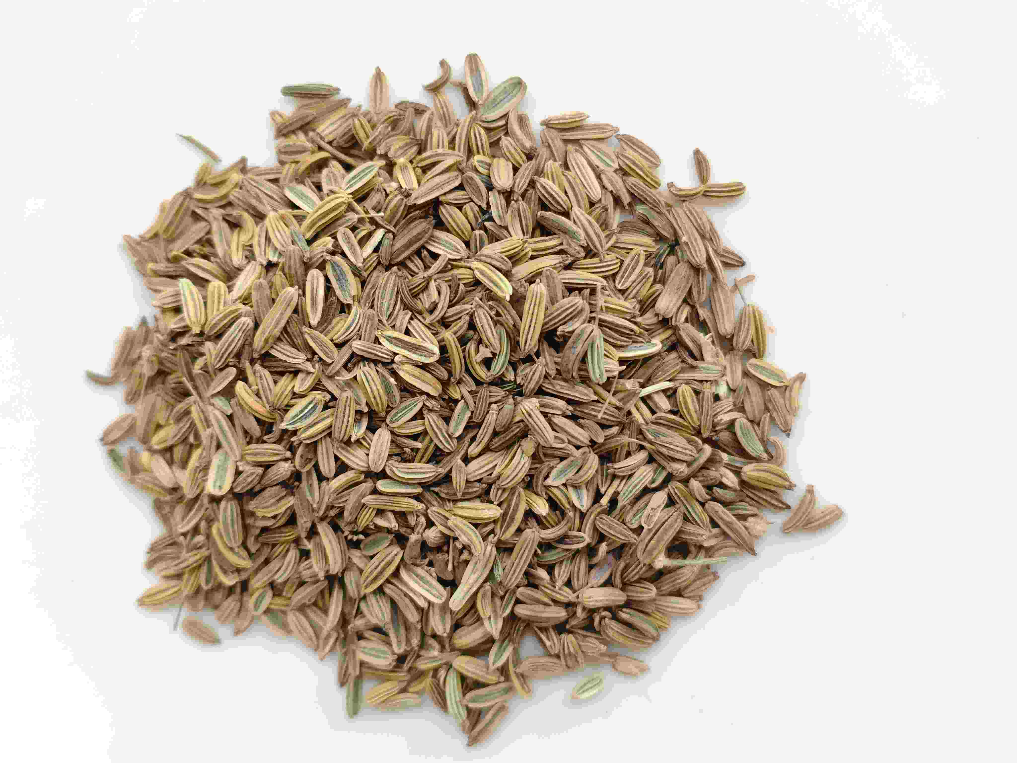 Fenchelsamen (xiǎo Huíxiāng)