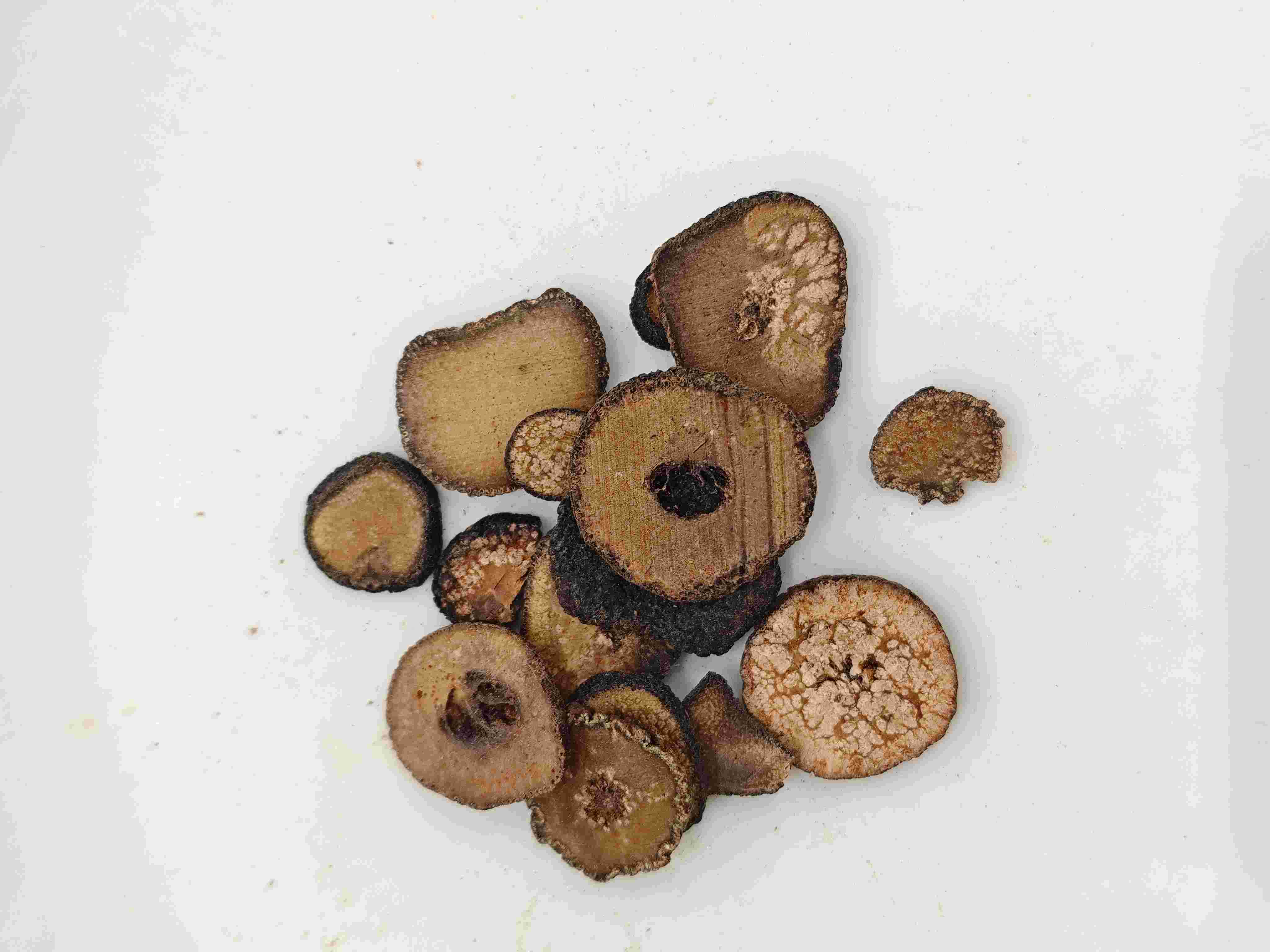 Unreife bittere Orange (Zhǐshí)