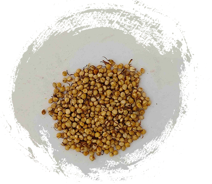 Gerösteter Reisspot (Chǎo Gǔ Yá)