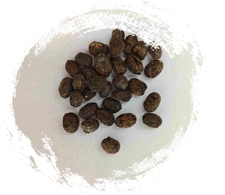 Fermentierte Sojabohnen (dàu chǐ)