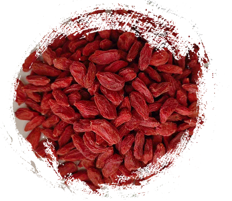 Die wichtigsten chinesischen Heilkräuter und ihre Funktionen: Natürliche Lösungen für die tägliche Gesundheit