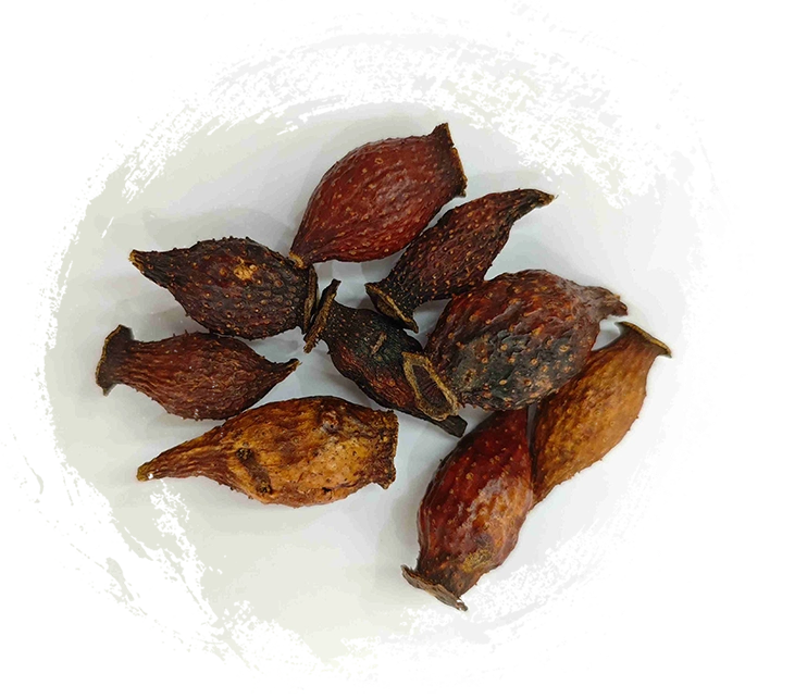 Goldene Himbeere (Jīnyīngzǐ)