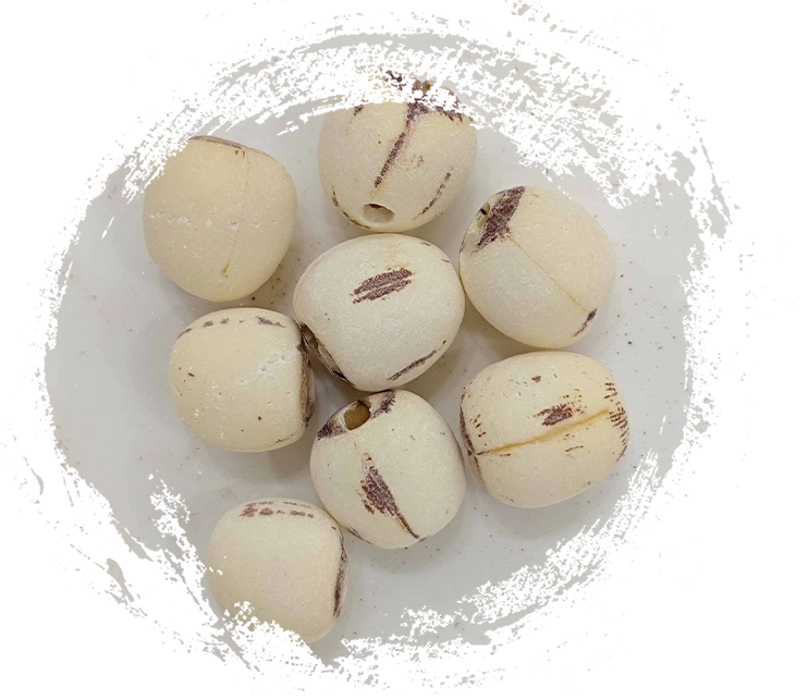 Lotussamen (Liánzǐ)