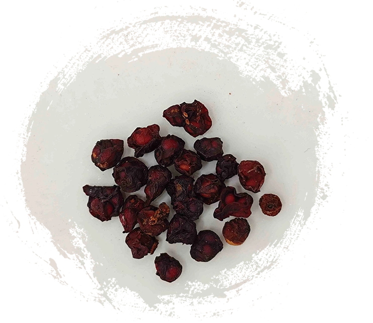 Schisandra Frucht (Wǔwèizǐ):