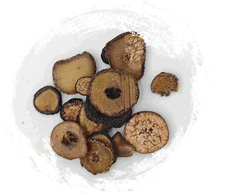 Unreife bittere Orange (Zhǐshí)