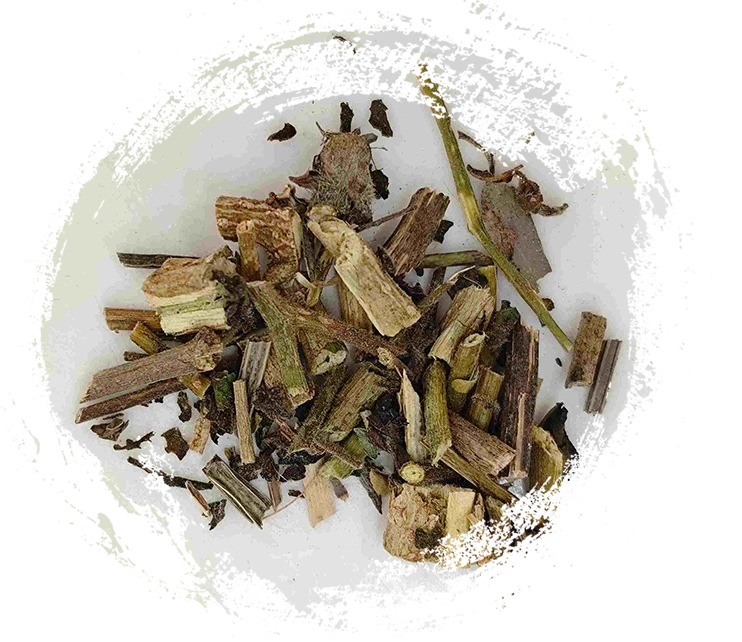 Weiße Knospe (Báiyīng)