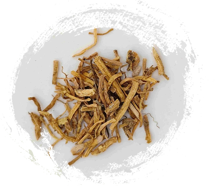 Gentiana (Lóngdǎn)