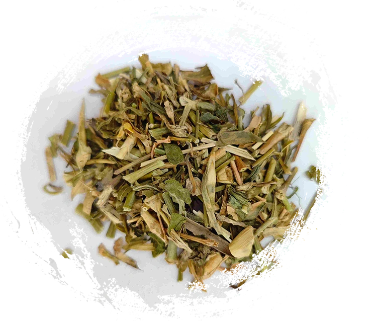 Chinesische Glockenblume (qúmài)