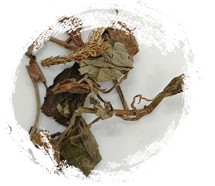 Die wichtigsten Eigenschaften traditioneller chinesischer Heilpflanzen