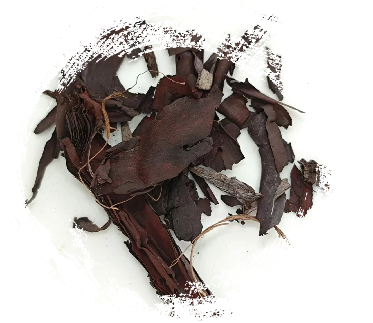 Wie die chinesische Kräutermedizin wirkt: Prinzipien, Mechanismen und praktische Anwendungen